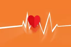 Rythme Cardiaque Coeur